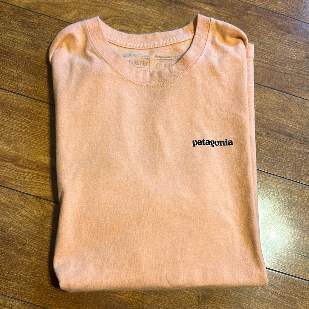 Patagonia tshirt
